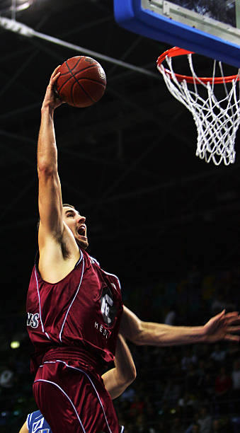 F1赛会应 F1赛会应